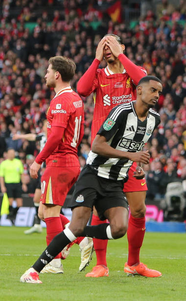 增添了几分 增添了几分