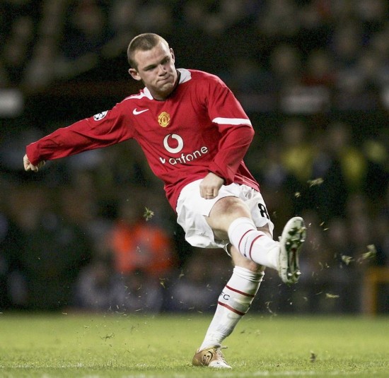 他的多样化 他的多样化